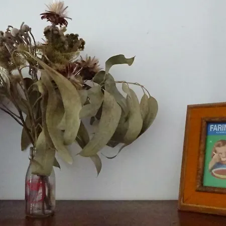 Teresinha *